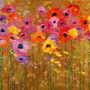 Meet your Posher, Robin